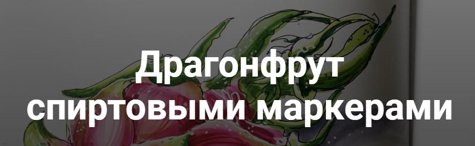 [Анна Расторгуева] Драгонфрут спиртовыми маркерами_0.jpg